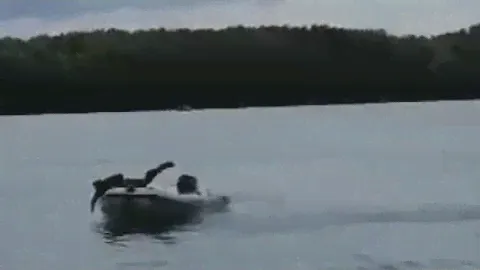 Kolibri CRASH