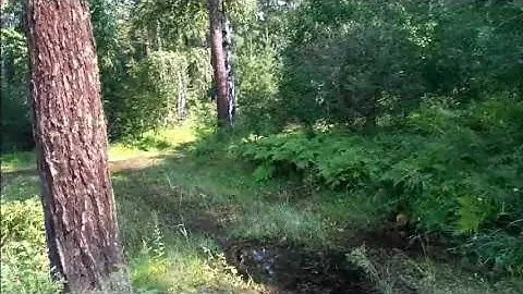 Участок на 28 км. Байкальского тракта