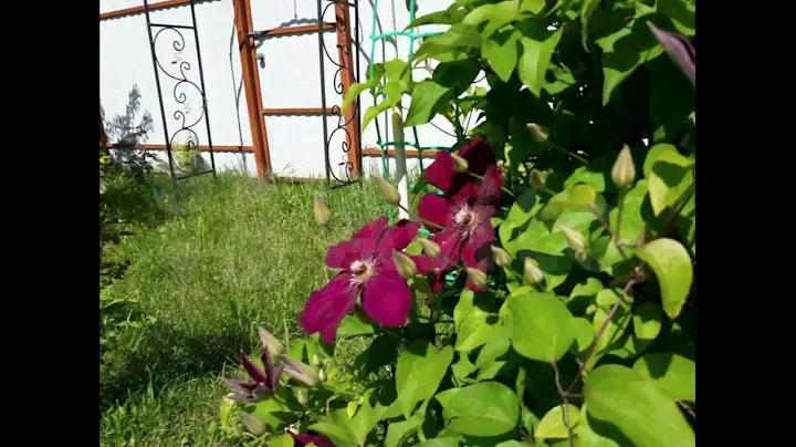 Продажа участка 12 соток (ИЖС) в Ступино. Звоните: 8 (916) 858-88-49