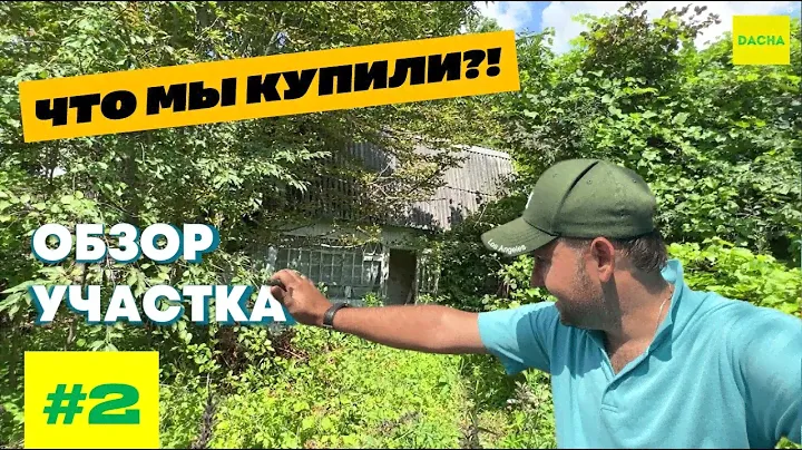 КУПИЛИ ЗАБРОШЕННУЮ ДАЧУ В 100 КМ ОТ МОСКВЫ! ОБЗОР УЧАСТКА. ВЛОГ #2
