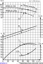 Консольный моноблочный насос Ливгидромаш КМ 100-65-250а-т, 37 кВт (Ливны)